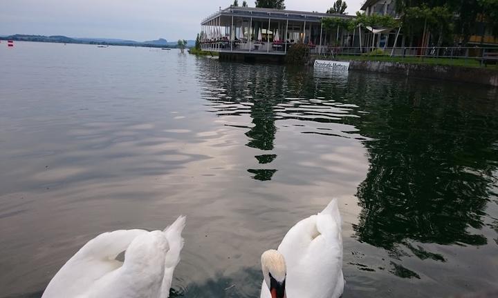 Strandcafe Mettnau